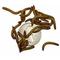 Show in main carousel: ABDragons Live Mealworms Reptile, Bird, Fish & Small Pet Food, Medium, 1000 count slide 5 of 6