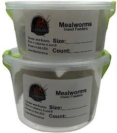 Show full view: ABDragons Live Mealworms Reptile, Bird, Fish & Small Pet Food, Mini, 100 count slide 3 of 6