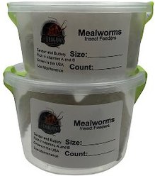 ABDragons Live Mealworms Reptile, Bird, Fish & Small Pet Food, Mini, 250 count slide 2 of 5