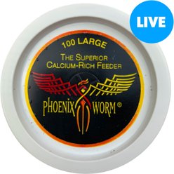 ABDragons Live Phoenix Worms Reptile, Bird, Fish & Small Pet Food, Large, 100 count