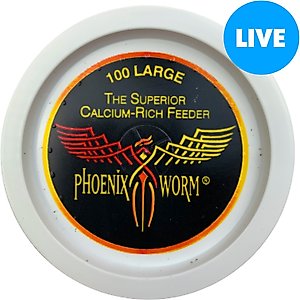 ABDragons Live Phoenix Worms Reptile, Bird, Fish & Small Pet Food, Large, 200 count