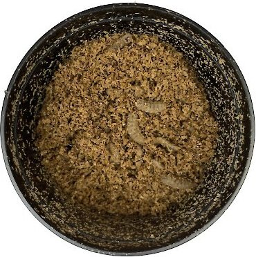 ABDragons Live Phoenix Worms Reptile, Bird, Fish & Small Pet Food
