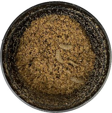 Show full view: ABDragons Live Phoenix Worms Reptile, Bird, Fish & Small Pet Food, Large, 200 count slide 4 of 5