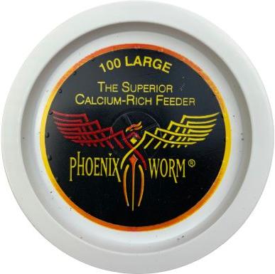 Show full view: ABDragons Live Phoenix Worms Reptile, Bird, Fish & Small Pet Food, Large, 200 count slide 5 of 5