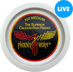 ABDragons Live Phoenix Worms Reptile, Bird, Fish & Small Pet Food, Medium, 100 count