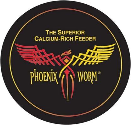 Show full view: ABDragons Live Phoenix Worms Reptile, Bird, Fish & Small Pet Food, Small, 150 count slide 5 of 7