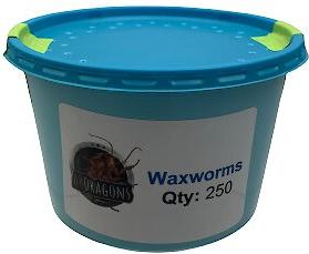 Show full view: ABDragons Live Waxworms Reptile, Bird, Fish & Small Pet Food, 750 count slide 3 of 6