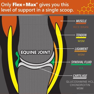 Absorbine Flex+Max with Glucosamine, MSM, Chondroitin & Flaxseed Horse Joint Pellets Supplement, 10-lb tub, 60 Day Supply