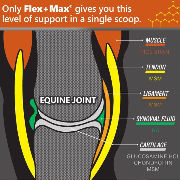 Absorbine Flex+Max with Glucosamine, MSM, Chondroitin & Flaxseed Horse Joint Pellets Supplement