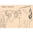Show in main carousel: Absorbine Fungasol Horse Spray, 22-fl oz bottle slide 3 of 5