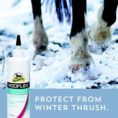 Show full view: Absorbine Hooflex Thrush Remedy Bactericidal & Fungicidal Horse Thrush Treatment, 12-fl oz bottle slide 3 of 5