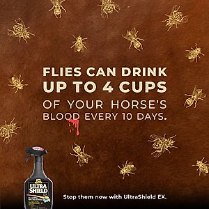 Absorbine UltraShield EX Insecticide, Kills & Repels Horse Fly Spray Refill, 32-fl oz bottle