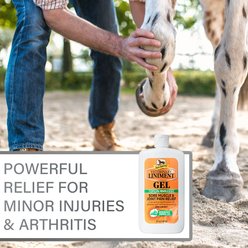 Absorbine Veterinary Topical Menthol Sore Muscles & Arthritis Pain Relief Horse Liniment Gel, 12-fl oz slide 2 of 6