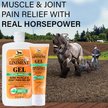 Absorbine Veterinary Topical Menthol Sore Muscles & Arthritis Pain Relief Horse Liniment Gel