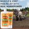 Show in main carousel: Absorbine Veterinary Topical Menthol Sore Muscles & Arthritis Pain Relief Horse Liniment Gel, 12-fl oz slide 3 of 8