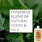 Show in main carousel: Absorbine Veterinary Topical Menthol Sore Muscles & Arthritis Pain Relief Horse Liniment Gel, 12-fl oz slide 4 of 8