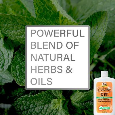 Show full view: Absorbine Veterinary Topical Menthol Sore Muscles & Arthritis Pain Relief Horse Liniment Gel, 12-fl oz slide 4 of 8