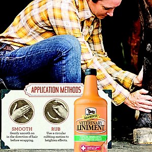 Absorbine Veterinary Topical Analgesic & Antiseptic Horse Liniment, 32-oz bottle