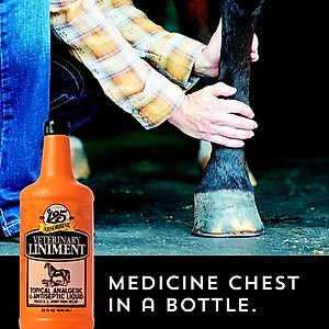 Absorbine Veterinary Topical Analgesic & Antiseptic Horse Liniment, 32-oz bottle