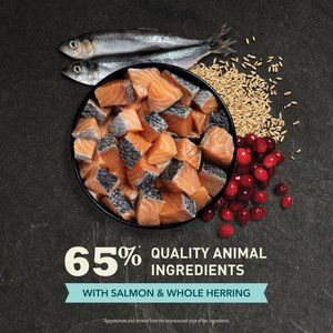 ACANA Bountiful Catch Salmon Catfish & Herring Dry Cat Food, 10-lb bag