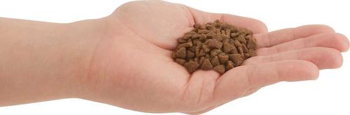 Show full view: ACANA First Feast Kitten Dry Cat Food + ORIJEN Original Freeze-Dried Treats slide 4 of 9