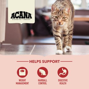 ACANA Indoor Entree Chicken Turkey Whole Herring & Rabbit Dry Cat Food, 10-lb bag