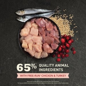 ACANA Indoor Entree Chicken Turkey Whole Herring & Rabbit Dry Cat Food, 4-lb bag