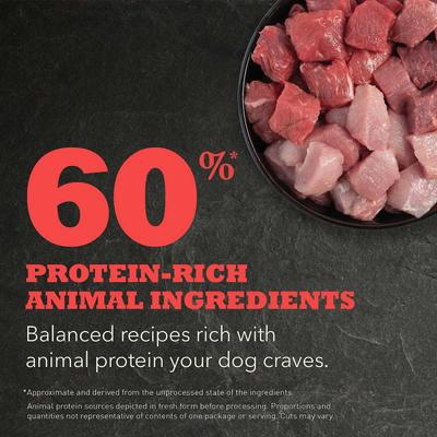 Show full view: ACANA Red Meat Recipe Dry Food + Singles Beef & Pumpkin Formula Freeze-Dried Dog Treats slide 4 of 8