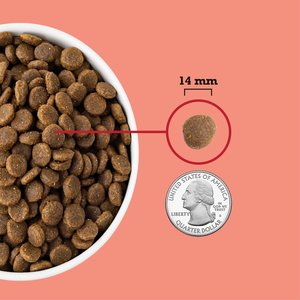 ACANA Red Meat Recipe Grain-Free Dry Dog Food 25-lb bag