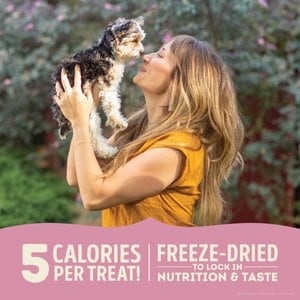 ACANA Singles Lamb & Apple Grain-Free Limited Ingredients & Freeze-Dried Dog Treats, 3.25-oz bag