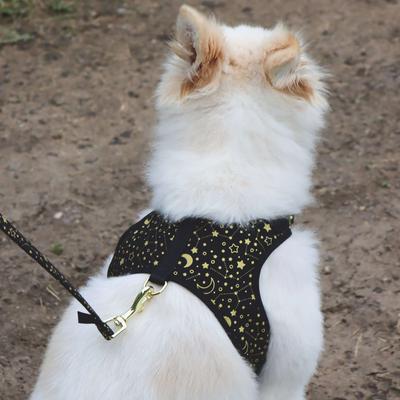 Show full view: Accent Fashion Metallic Dog Leash, Bright Black Galaxy, 6-ft long, 1-in wide slide 7 of 7