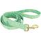 Show in main carousel: Accent Fashion Metallic Dog Leash, Graceful Green Leaves, 6-ft long, 5/8-in wide slide 1 of 7
