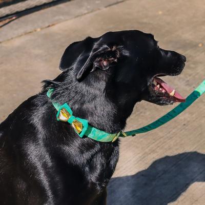 Show full view: Accent Fashion Metallic Dog Leash, Graceful Green Leaves, 6-ft long, 5/8-in wide slide 4 of 7