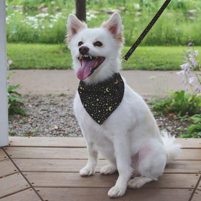Show full view: Accent Fashion Metallic Over the Collar Dog Bandana, Bright Black Galaxy slide 4 of 8