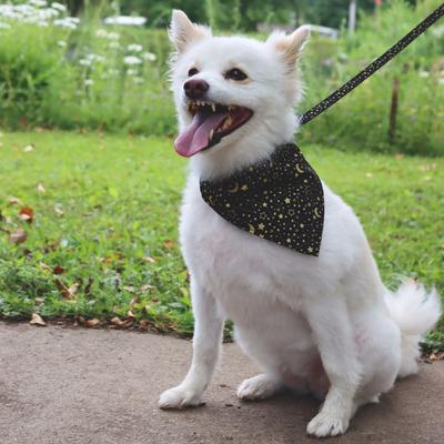 Show full view: Accent Fashion Metallic Over the Collar Dog Bandana, Bright Black Galaxy slide 7 of 8