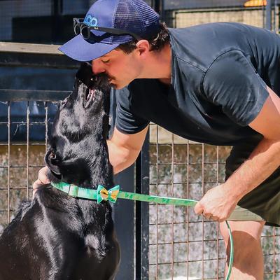 Show full view: Accent Fashion Metallic Adjustable Dog Collar, Graceful Green Leaves, 18-26-in neck, 1-in wide slide 2 of 8