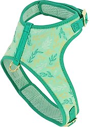 Accent Fashion Metallic Adjustable Dog Harness, Graceful Green Leaves, Small: 16-20-in chest
