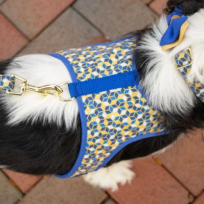 Show full view: Accent Fashion Metallic Dog Leash, Classic Blue Diamonds, 6-ft long, 5/8-in wide slide 3 of 6