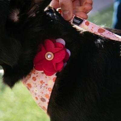 Show full view: Accent Fashion Metallic Over the Collar Dog Bandana, Delicate Pink Flowers slide 6 of 7