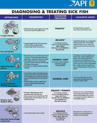 Show full view: Activ-Betta Bio-Activ Live Aqueous Solution Betta Water + API Bettafix Antibacterial & Antifungal Betta Fish Infection Remedy slide 6 of 6