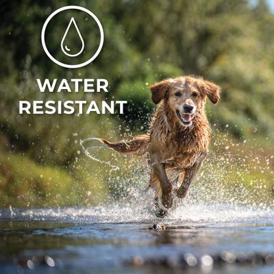 Show full view: ActivPhy Hip & Joint Mobility Dog Collar, Small slide 6 of 9