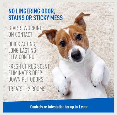 Show full view: Adams Flea & Tick Carpet Powder, 16-oz bottle slide 3 of 13