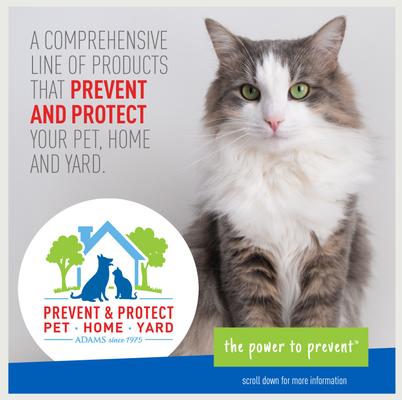 Show full view: Adams Flea & Tick Carpet Powder, 16-oz bottle slide 4 of 13