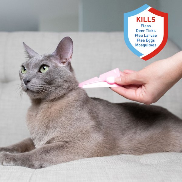 Ovitrol X-Tend Flea & Tick Spot On for Large Cats (Over 5 pounds)