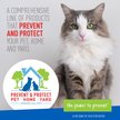 Show in main carousel: Adams Ear Mite Treatment for Dogs & Cats, 0.5-fl oz bottle slide 7 of 11