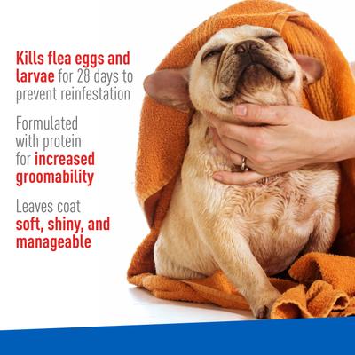 Show full view: Adams Plus Flea & Tick Sensitive Skin Foaming Dog Shampoo, 10-fl oz bottle slide 3 of 9