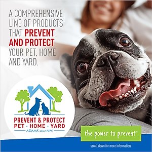 Adams Plus Flea & Tick Shampoo Sensitive Skin for Cats & Dogs, 12-fl oz bottle