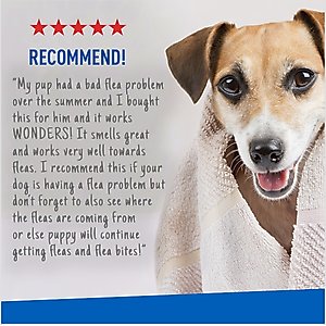 Adams Plus Flea & Tick Shampoo Sensitive Skin for Cats & Dogs, 12-fl oz bottle