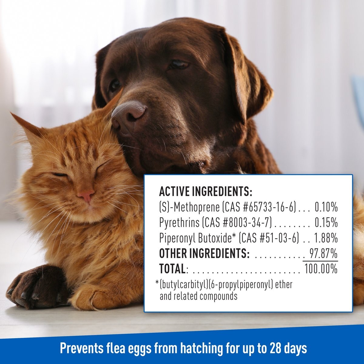 View of ADAMS Plus Flea & Tick Shampoo Sensitive Skin for Cats & Dogs, 24-fl oz ...