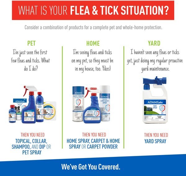 Picture of ADAMS Plus Flea & Tick Shampoo Sensitive Skin for Cats & Dogs, 6-fl oz ...